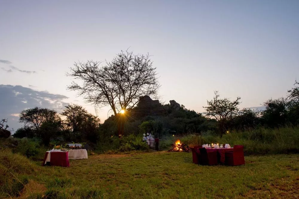 Busch-Dinner Mbuzi Mawe Serena